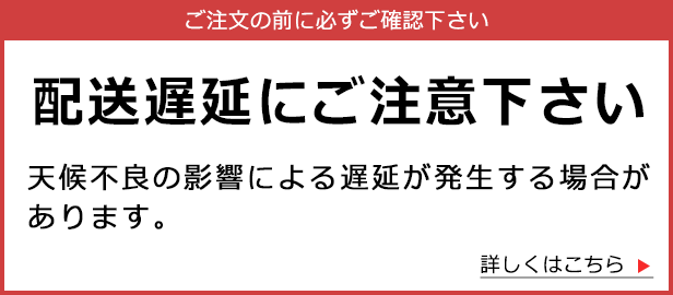 配送遅延について